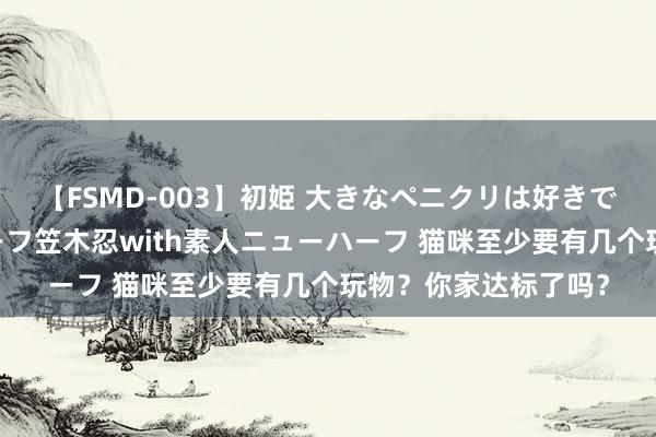 【FSMD-003】初姫 大きなペニクリは好きですか！？ ニューハーフ笠木忍with素人ニューハーフ 猫咪至少要有几个玩物？你家达标了吗？