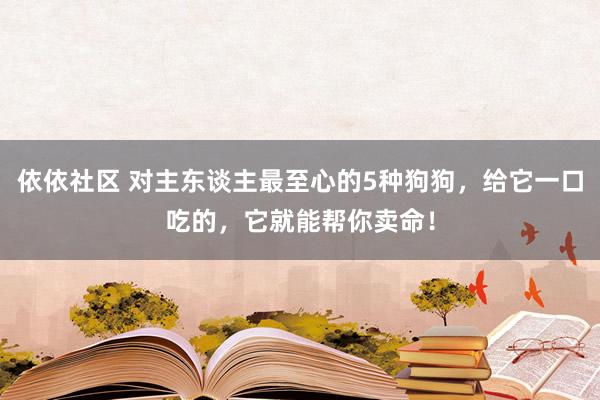 依依社区 对主东谈主最至心的5种狗狗，给它一口吃的，它就能帮你卖命！